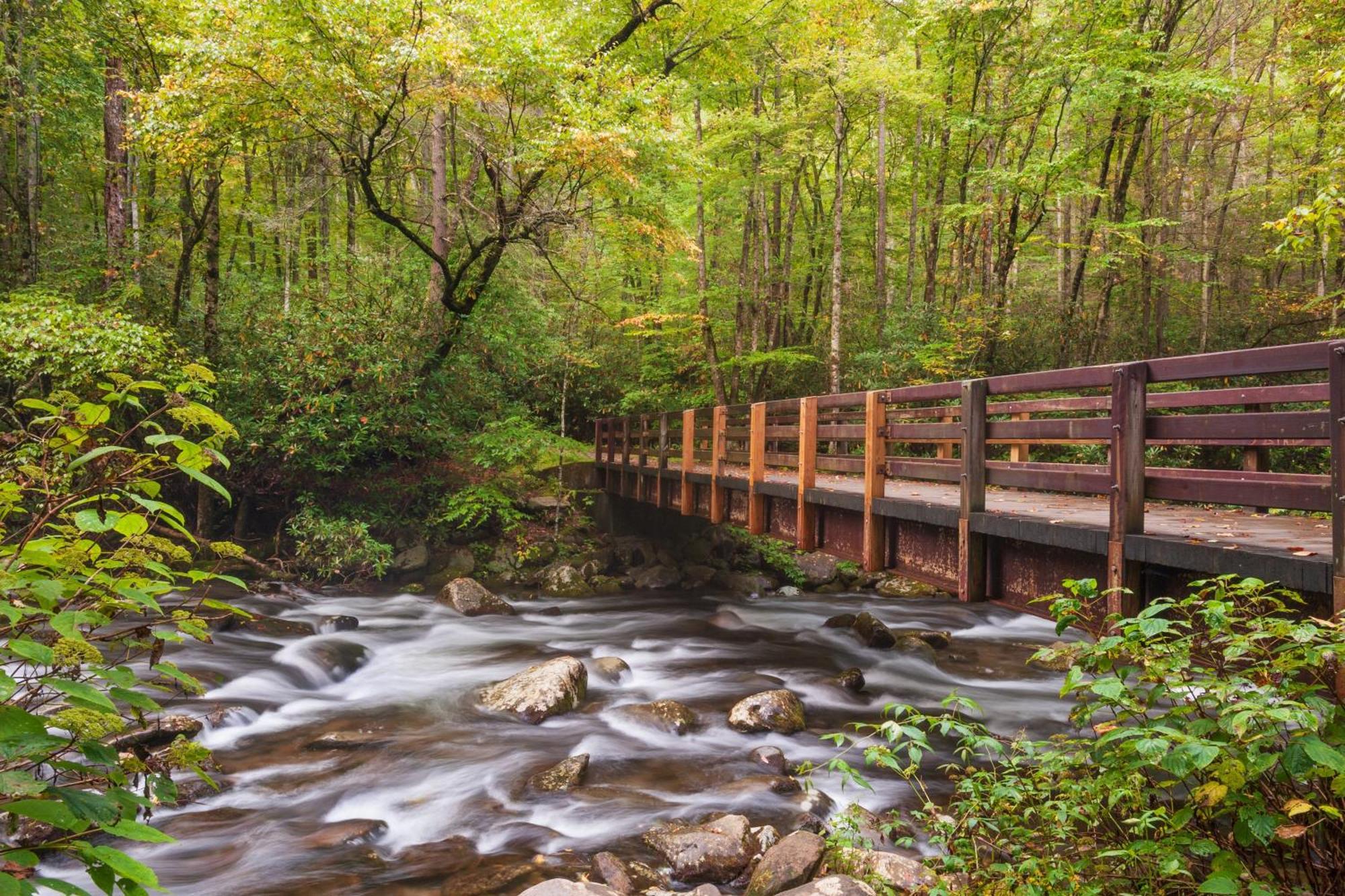A Higher Calling, 1089 Of Free Area Attraction Tickets For Each Paid Day, Dollywood And More! بيدجن فورج المظهر الخارجي الصورة